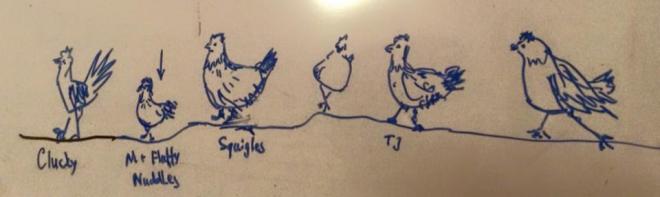 My Hens