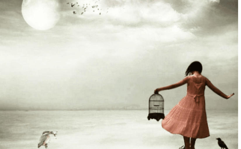 ‘What if You&nbsp;Fly’