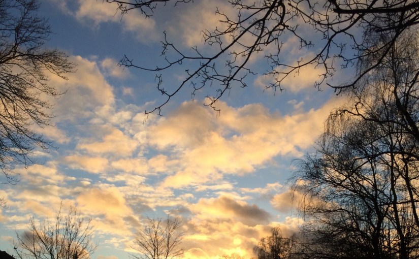 Flickering Moments, Meditation and the Emotion of&nbsp;Awe